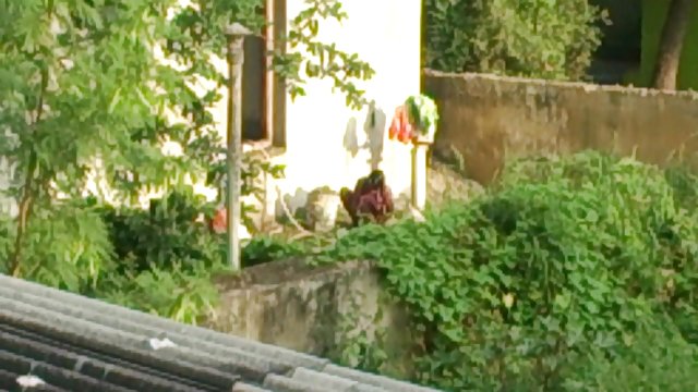 麗莎安和傑登詹姆斯熱門三人組